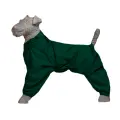 Комбинезон-пыльник для миттельшнауцера кобеля, цвет зеленый
