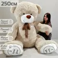 Большой плюшевый медведь, мягкая игрушка мишка Феликс 250 см, серый кремовый