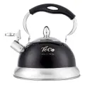 Чайник Teco 3 л, со свистком, нерж. сталь, черный (TC-125-BL)