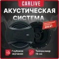 Колонки автомобильные - Carlive TS-A1695, 800W MAX, Динамики для автомобиля, Автозвук, Акустика авто, Автоакустика.