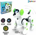 Электронный конструктор Robo-пёс