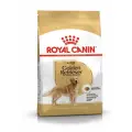 Корм сухой ROYAL CANIN полнорационный для взрослых собак породы золотистый (голден) ретривер 3 кг х 3 шт