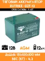 Тяговый аккумулятор RuTrike 6-DZF-12 (12V13A/H C3)