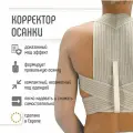 Реклинатор корректор осанки Orliman, корсетный пояс для осанки профессиональный ортопедический Испания ET-210