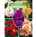 Комплект роз флорибунд Цветной микс из 5 / роз