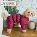 Комбинезон, одежда для собак мелких и средних пород, пуховик для животных (девочек) Норд