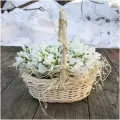 Подснежники 101 шт в корзинке 16х12см, h=10см арт. 10861 - Просто роза ру