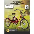 Электровелосипед трехколесный для взрослых РВЗ Чемпион (СКЛАДНОЙ), красный 250,12