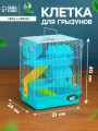 Клетка для грызунов «Пижон», двухэтажная с наполнением 31×24×40 см, голубая