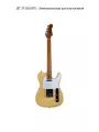 JET JT-300 BTS - Электрогитара шестиструнная