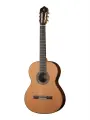 847 Classical Conservatory Senorita 5P Классическая гитара 7/8, с чехлом, Alhambra