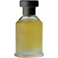 Bois 1920 vetiver ambrato 100ml парфюмерная вода