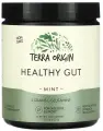 Terra Origin, добавка для нормализации функций желудочно-кишечного тракта, вкус мяты, 222 г (7,83 унции)(Оригинал!)