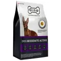 Gina Dog Moderate Active сухой корм для взрослых умеренно активных собак с уткой и ягненком - 18 кг