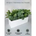 Искусственная трава в ящике для дома и офиса, ПоДар. Ок Home