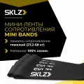 Фитнес ленты 5 x 24 см, 10 шт, высокое сопротивление, черный SKLZ Mini Band Black