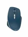 Мышь беспроводная CANYON MW-21 [CNS-CMSW21BL] синий