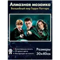 Алмазная мозаика Гарри Поттер, Гермиона и Рон Уизли