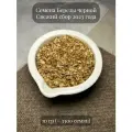 Семена Березы черной декоративной, 10 гpамм (примерно 3300 шт)
