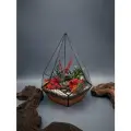 Флорариум с суккулентами от Flolefor Пламенный цветок, 16х16х21 см (ДхШхВ)