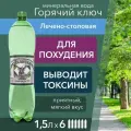 Вода Горячий Ключ Лечебно-столовая. Объем 1.5л*6. Вода минеральная питьевая газированная природная целебная лечебная, выводит токсины, для детей