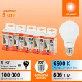 Лампочка светодиодная E27 OSRAM, груша, 9Вт, 6500К холодный белый свет, 5 шт