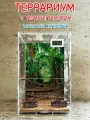 Террариум Джунгли, акриловый, вертикальный, 9.8 л, для богомола, палочника, паука