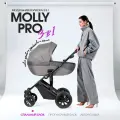 Коляска для новорожденных 3 в 1 Farfello Molly Pro, MP-1, серый