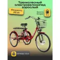 Электровелосипед трехколесный для взрослых РВЗ Чемпион 350 15, красный