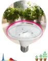 Фитолампа для растений светодиодная ЭРА FITO-18W-RB-E27 красно-синего спектра 18 ВТ Е27