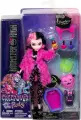 Кукла Monster High Creepover Party Draculaura HKY66