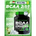 BCAA + Glutamin Scitec Nutrition BCAA + Glutamine Xpress 600 г, Мохито