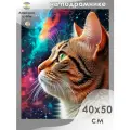 Алмазная мозаика на подрамнике Кот и космос 40х50