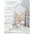 Конверт-одеяло демисезон детский на выписку с поясом 90х90 см.