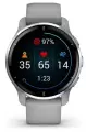 Часы Garmin VENU 2 Plus серые с серебристым безелем и силиконовым ремешком 010-02496-10