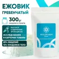 Ежовик гребенчатый мицелий 300 гр Mycofarm Fungi (Lions mane, природный ноотроп, герициум)