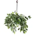 Искусственные свисающие кусты в подвесном кашпо от бренда Holodilova