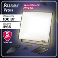 Прожектор Ritter светодиодный 100Вт уличный, теплый свет 2700К, IP65, серия PROFI 53430 7
