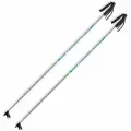 Лыжные палки SPINE (322) Spine (Алюминий) (серый) (125)