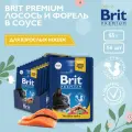 Влажный корм для кошек, кусочки в соусе Лосось и Форель 85 гр, 14 шт, Brit Premium