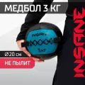 Медбол спортивный для фитнеса Insane IN24-WB100, вес 3 кг, цвет голубой