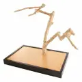 COFFEE WOOD Игровая площадка для птиц Кофейное дерево, M (Вьетнам)