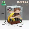 Клетка для грызунов Пижон, двухэтажная с наполнением 31 х 24 х 40 см, коричневая