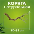 Натуральная коряга для террариума, декорация и украшение декор для рептилий, ящериц, длина 80-85 см, Универсальное украшение для террариумов экзотических животных.