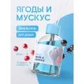 Диффузор для дома, ароматизатор с палочками Meromi Ягоды и мускус 50 мл.