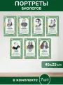 Набор биологов из ПВХ пластика 7 шт. Портреты (250*400 мм.) (Ф)