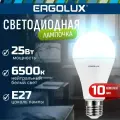 Лампочки светодиодные Ergolux LED A65, мощность 25W, цоколь E27, холодный белый свет, 10штук в наборе