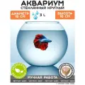 Аквариум vecchio vaso шар круглый стеклянный для рыбок 3 литра