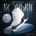 Коньки фигурные WINTER STAR Basic, искусственная кожа, нержавеющая сталь, р.37