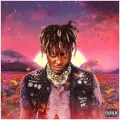 Виниловая пластинка Juice WRLD - Legends Never Die (Black Vinyl 2LP), 0602507496074